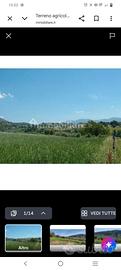 Terreno coltivabile ed edificabile