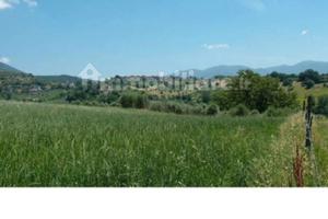 Terreno coltivabile ed edificabile