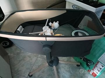 culletta Inglesina +palestrina