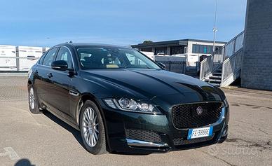 Jaguar XF 2.0 D 180 CV Aut. Portfolio