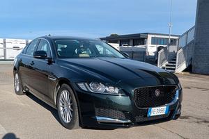 Jaguar XF 2.0 D 180 CV Aut. Portfolio