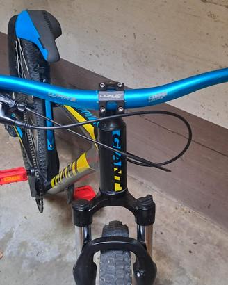 wheelie bike Giant