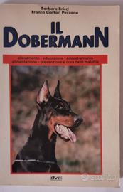Il Dobermann
