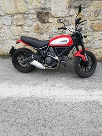 ducati Scrambler 800 