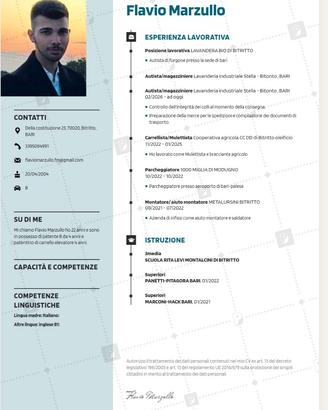 Autista/consegnatario