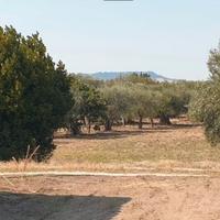 Terreno agricolo zona paip ii mt