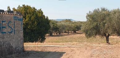 Terreno agricolo zona paip ii mt
