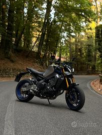 MT 09 SP 2022