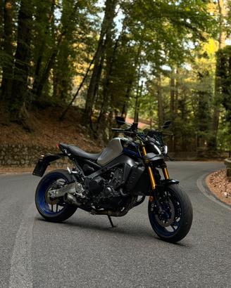 MT 09 SP 2022