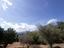Immagine 23