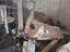 Immagine 6