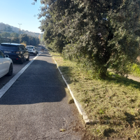 Giardiniere e custode