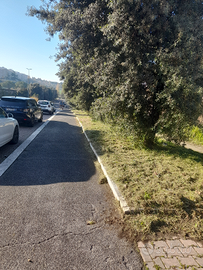 Giardiniere e custode