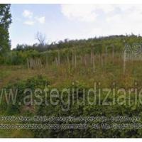 Terreno Agricolo Lanciano [A4344520]