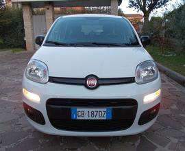 FIAT Panda 1.2 benzina 5 posti Uconnect - 2020