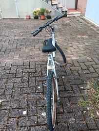 mountain bike adulti