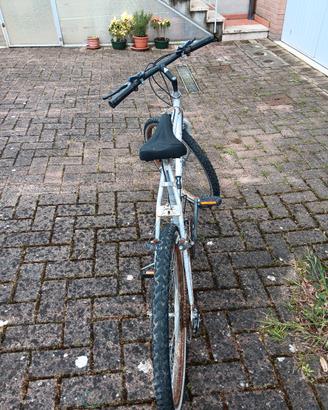 mountain bike adulti
