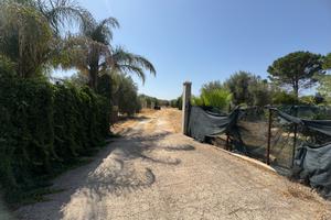 Terreno a 2 km da Floridia