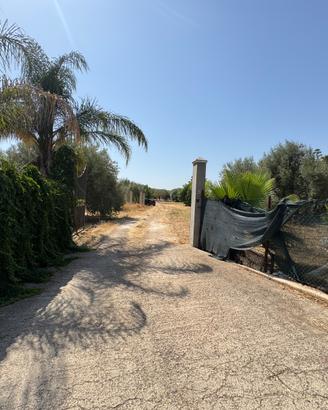 Terreno a 2 km da Floridia