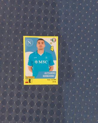 Figurina panini serie A 2024/25 (ALESSANDRO BUONGI