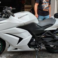 Kawasaki Ninja 250R