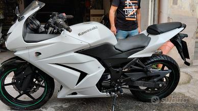 Kawasaki Ninja 250R