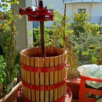 Torchio manuale in legnl