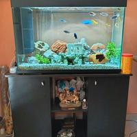 Acquario 180L