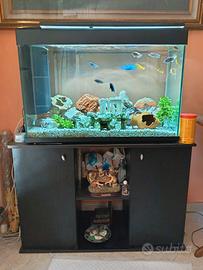 Acquario 180L
