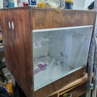 Teca serpente mai utilizzata