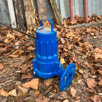 Pompa Acqua Lowara 3 Fasi