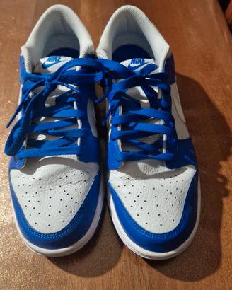 Dunk low blue