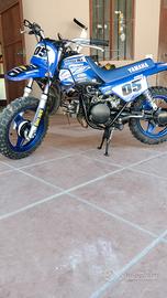 Yamaha pw50
