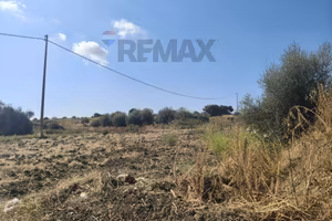 Terreno - Catania