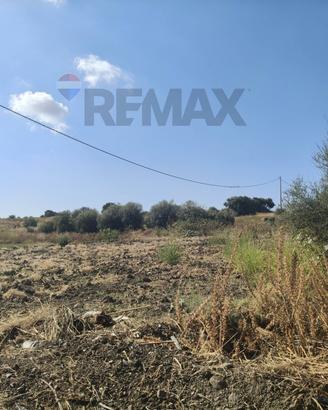 Terreno - Catania