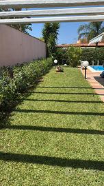 villa con piscina privata