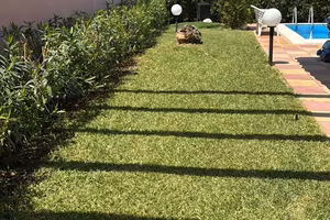 villa con piscina privata