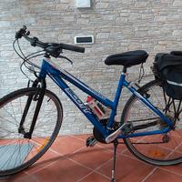 Bici Scott 28 sportster 