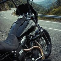 Cupolino Harley Davidson Club Style