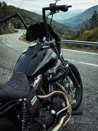 Cupolino Harley Davidson Club Style