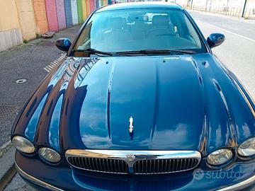 jaguar  per cofano