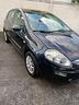 fiat-punto-evo-punto-evo-1-2-5-porte-dynamic