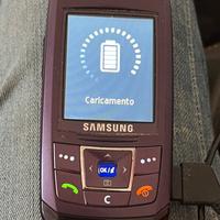 Cellulare Samsung e 250