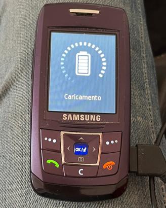 Cellulare Samsung e 250