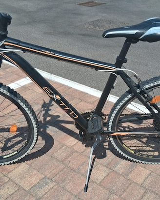 Bicicletta Mountain bike Extro tenuta bene