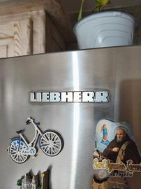 frigorifero LIEBHERR
