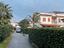 Immagine 6