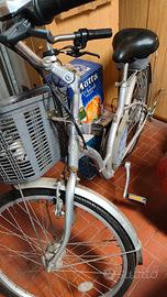 Bicicletta elettrica con batteria da sostituire