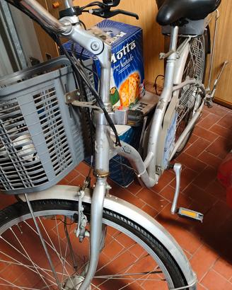 Bicicletta elettrica con batteria da sostituire