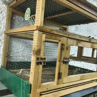 GABBIA PER UCCELLI FATTO IN CASA